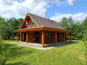 Unieke houten villa met SAUNA in Twente - 6p